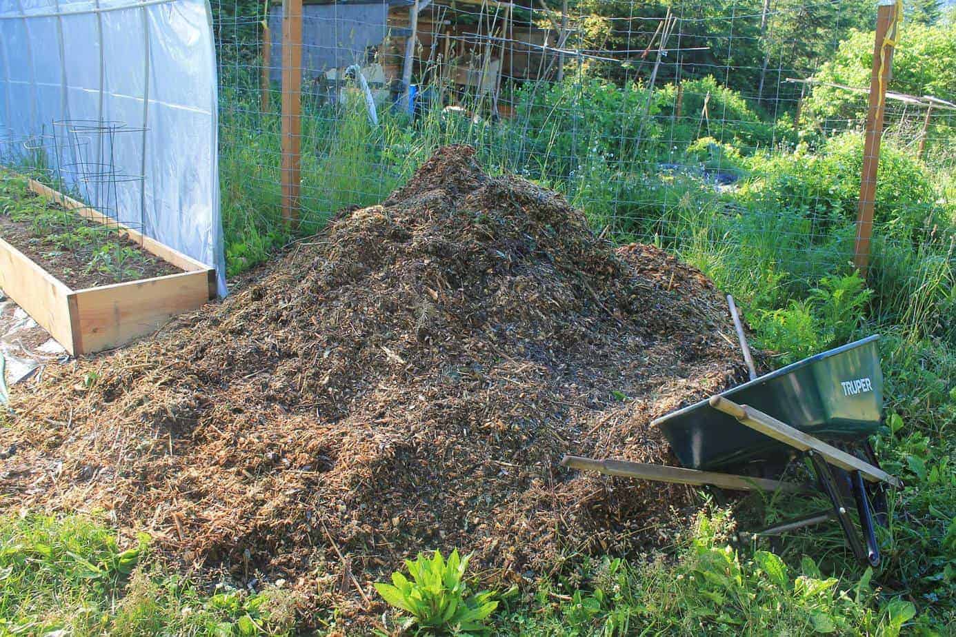 What is the best garden mulch for your garden needs? Review of straw, hay & woodchips