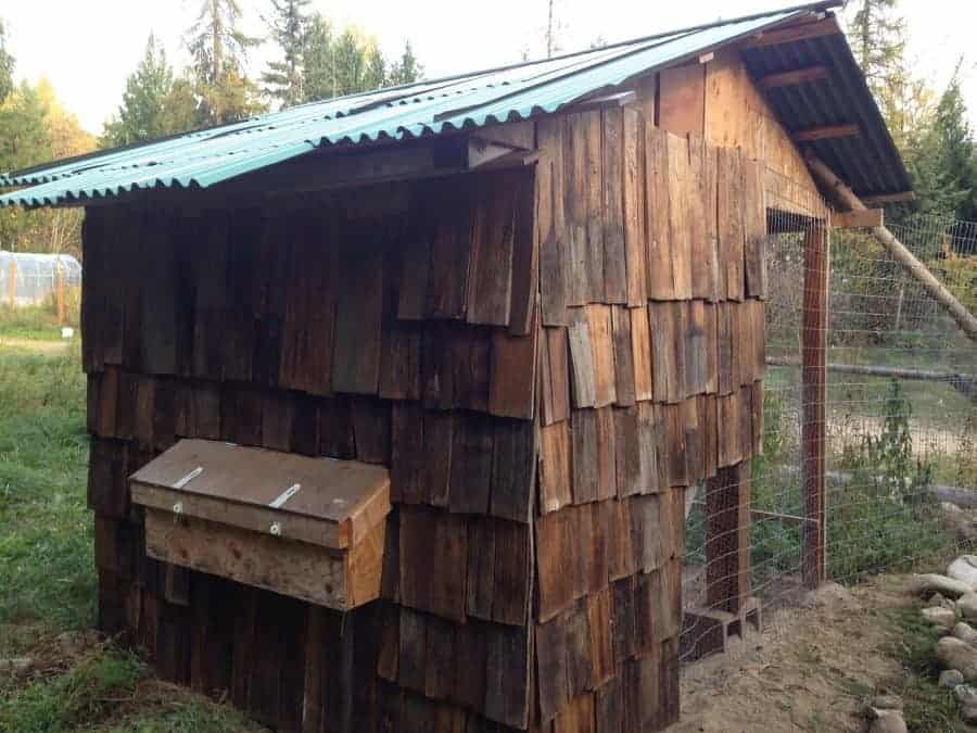 $100 DIY chicken coop made with re-purposed materials 