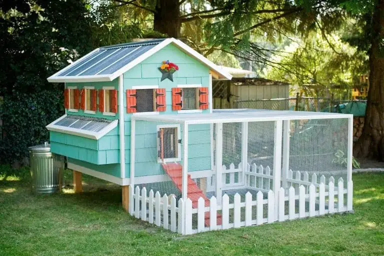 Chicken Coop Ideas