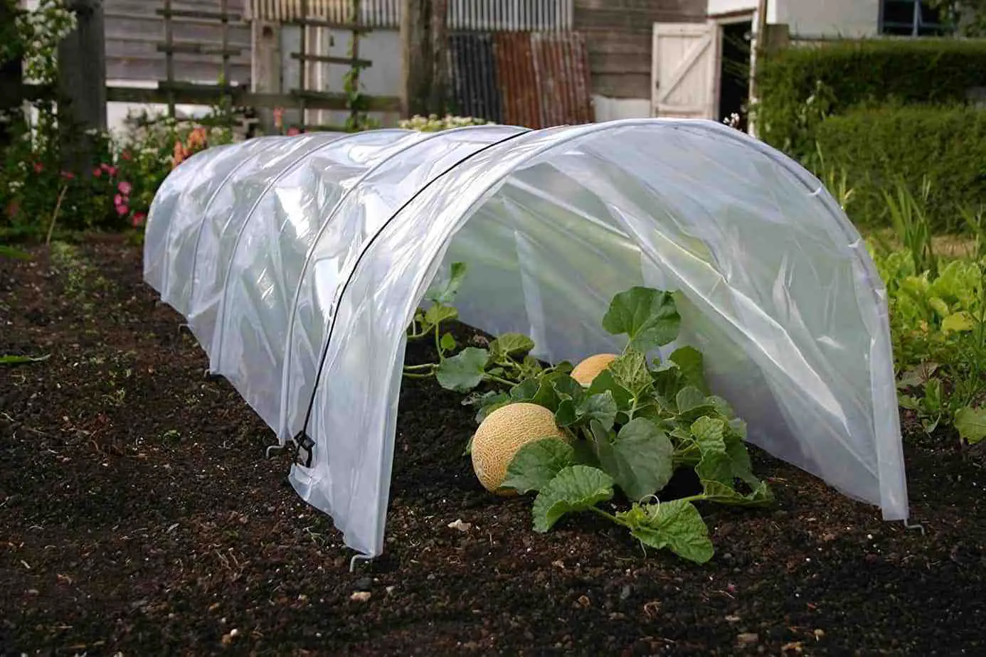 200” X 40“ X 40” Portable Water Proof Garden Tunnel Greenhouse Little kuku Greenhouse Suitable for Indoor and Outdoor 
