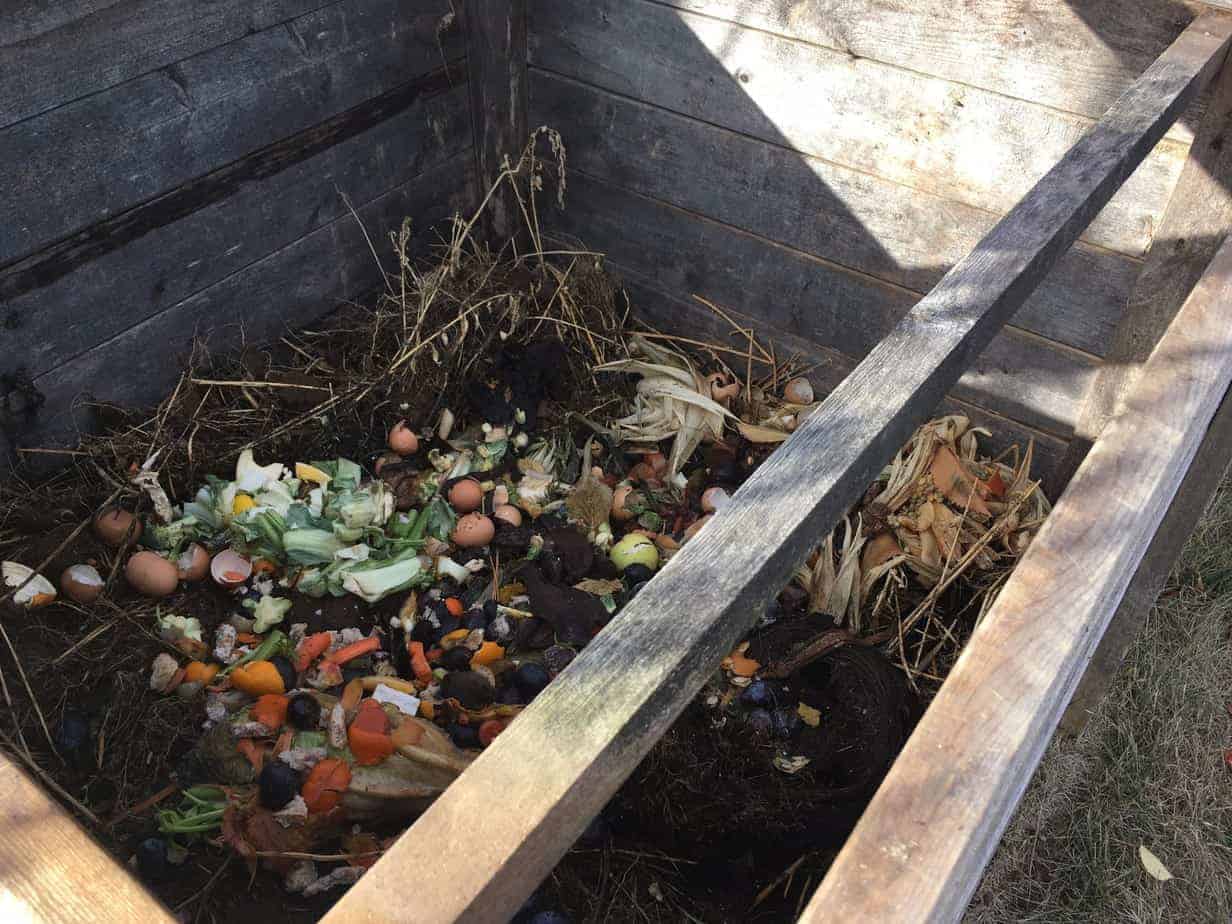 Home Composting Bin