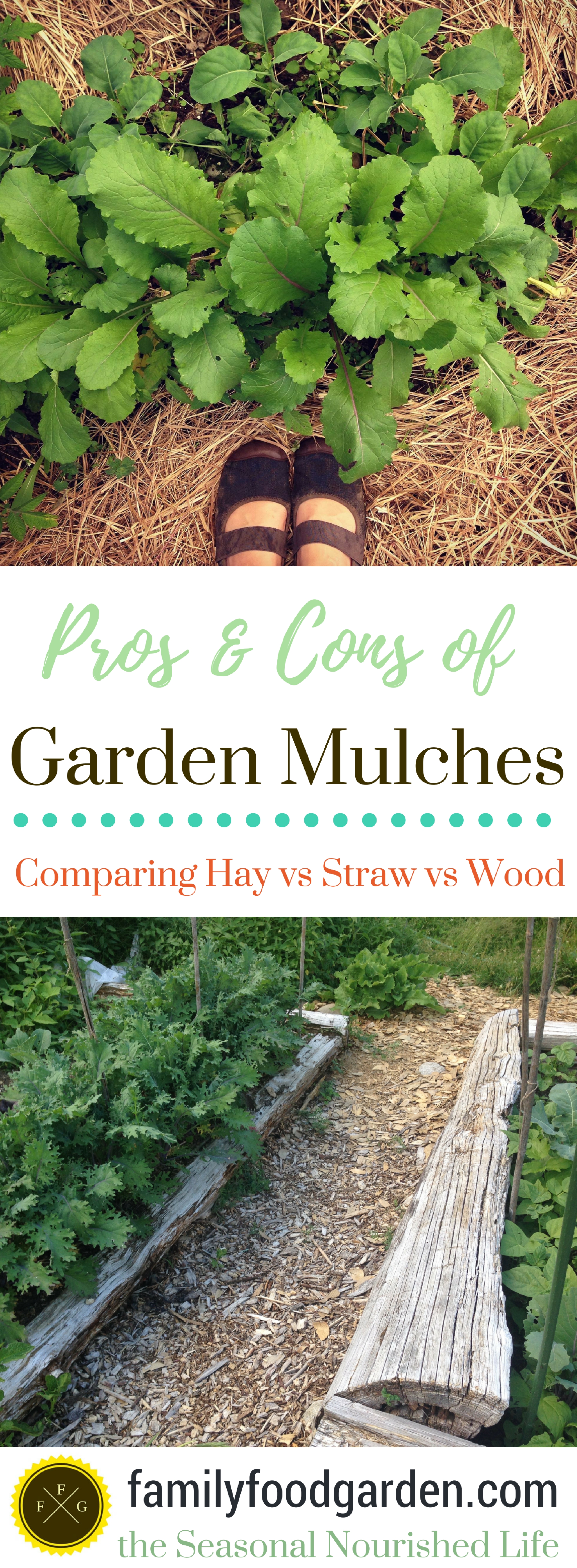 Mulch Reviews- Best Choice for your Garden Mulching