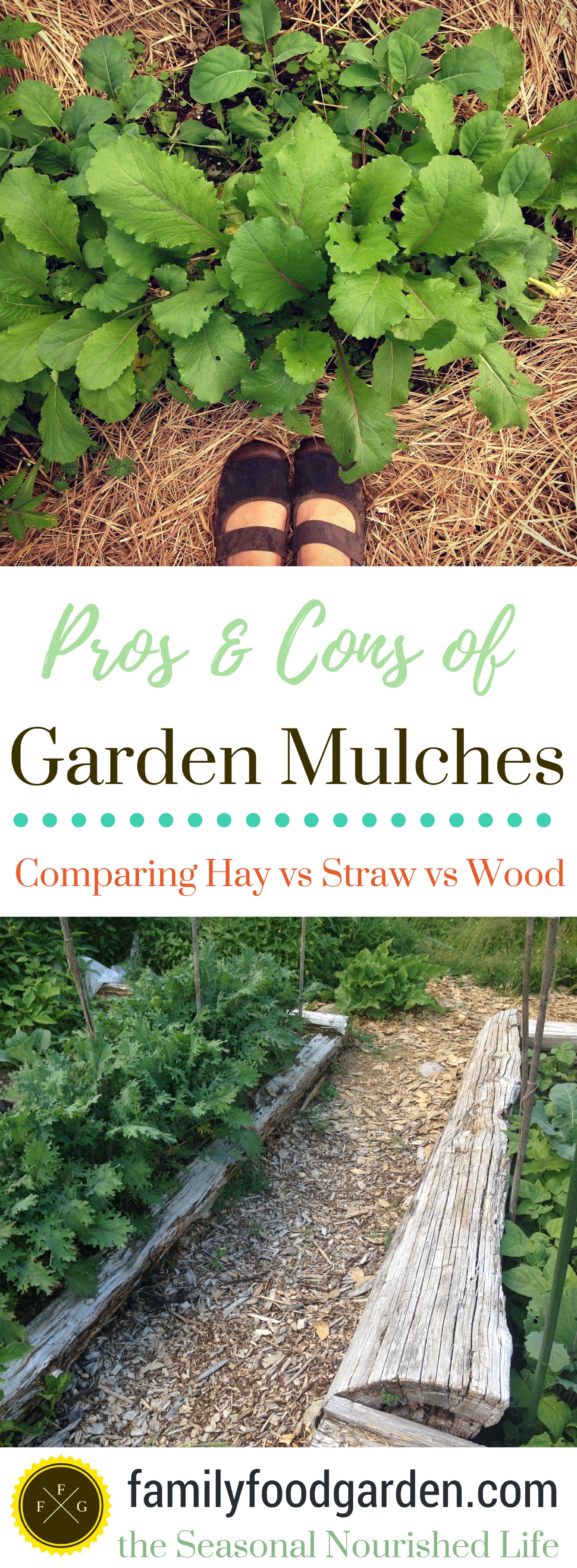 Best Garden Mulches Comparing Straw Vs Hay Vs Wood Chips Family