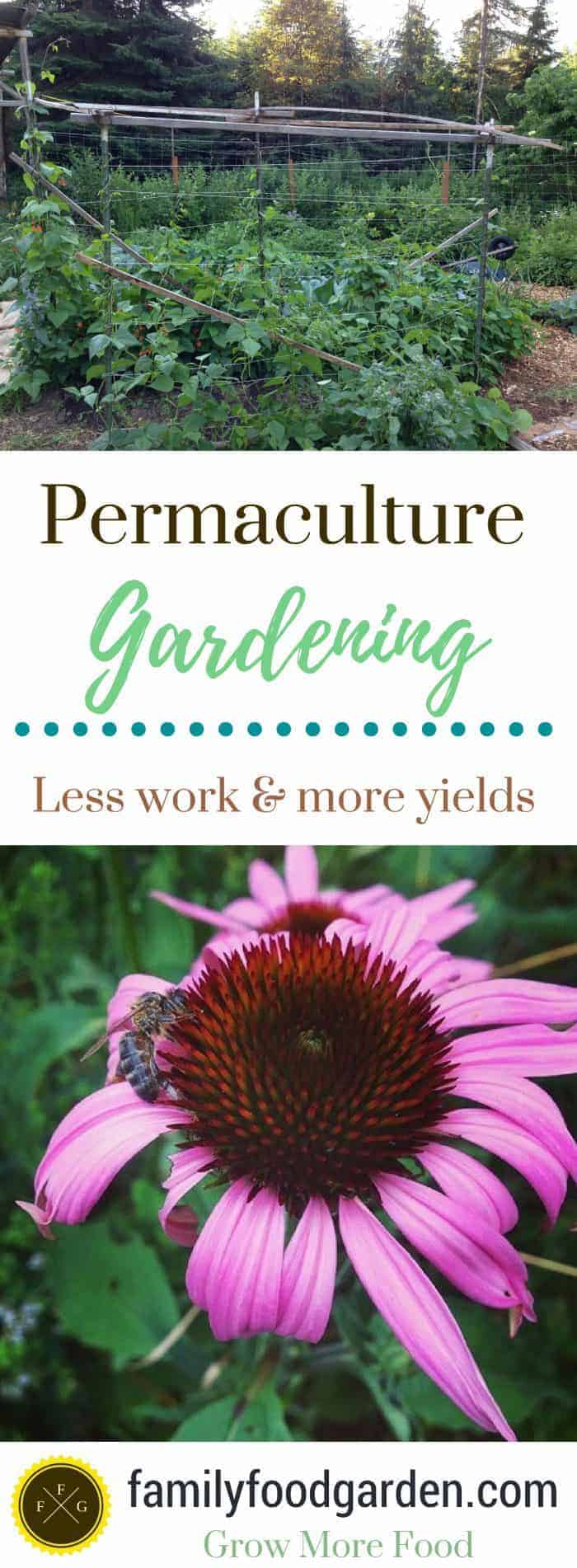 Permaculture Gardening