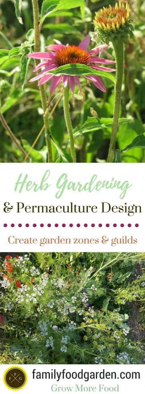 Herb Gardening Design In Permaculture Zones Family Food Garden Herb garden design is perhaps, one of the most delightful activities for the gardener. herb gardening design in permaculture