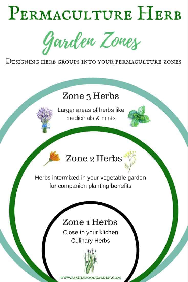 Herb Gardening Design in Permaculture Zones | Family Food Garden on Permaculture Garden Layout
 id=49946