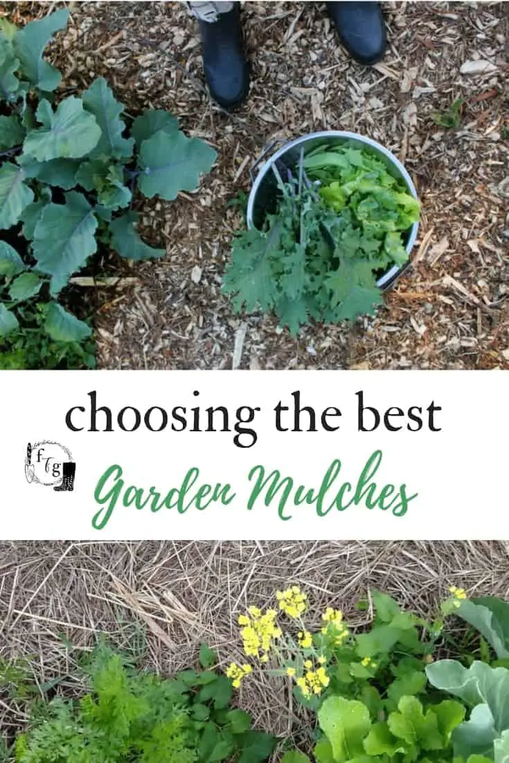 Choosing The Best Garden Mulches