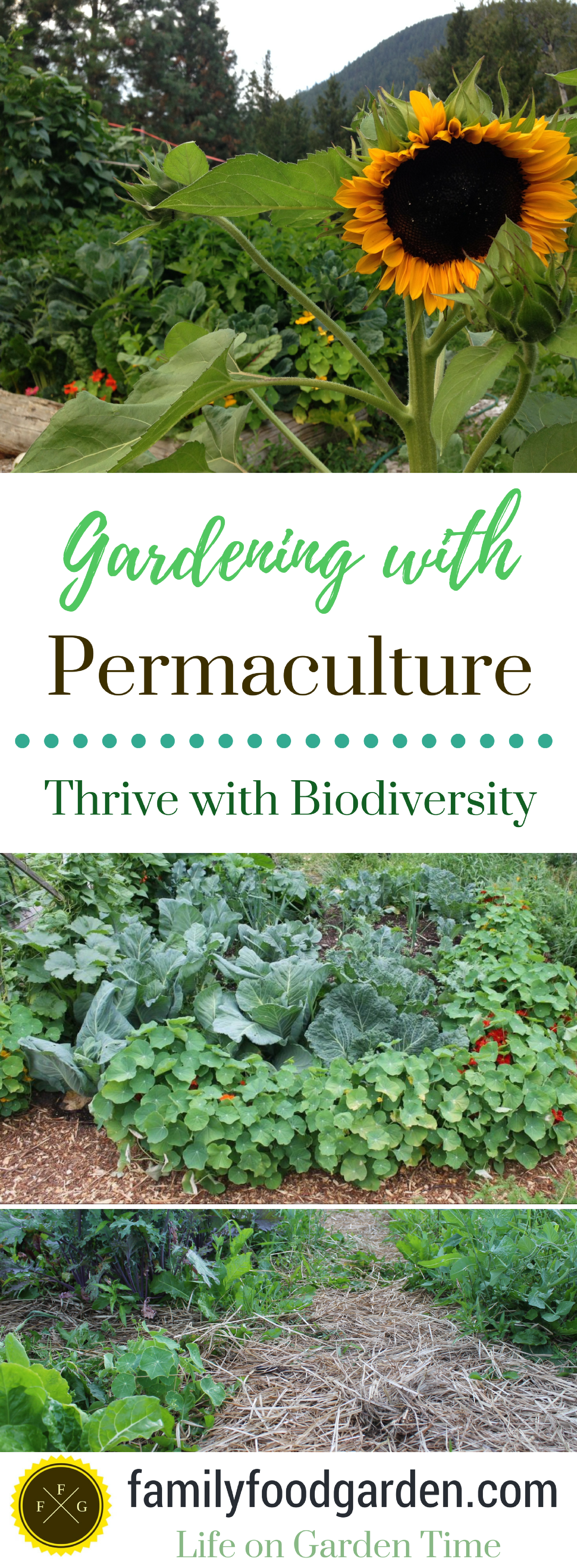 permaculture garden tips
