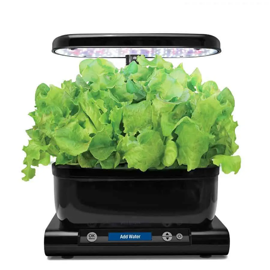 Aero garden to grow lettuce indoors #indoorgardening #aerogarden 