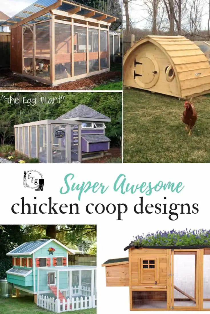 Great Chicken coop designs and plans #chickencoops #chickens #backyardchickens #chickenkeeping #chickencoopdesign