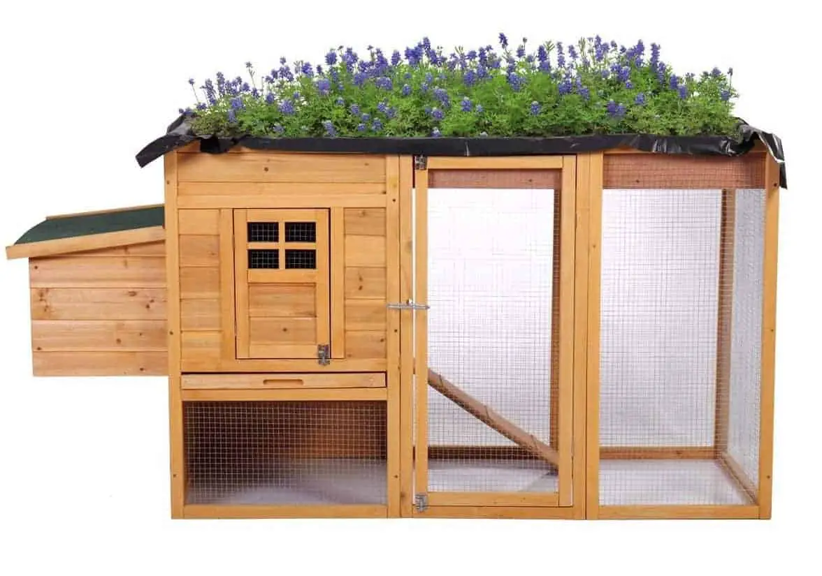 fantastic chicken coops 2020: designs, free plans & ideas