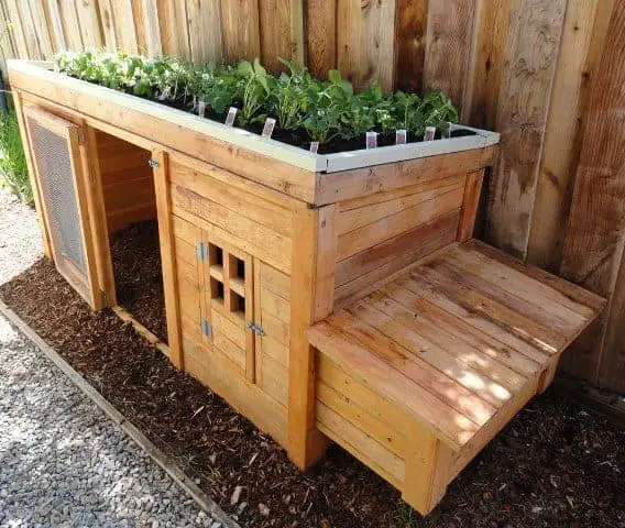 Chicken coop with garden roof