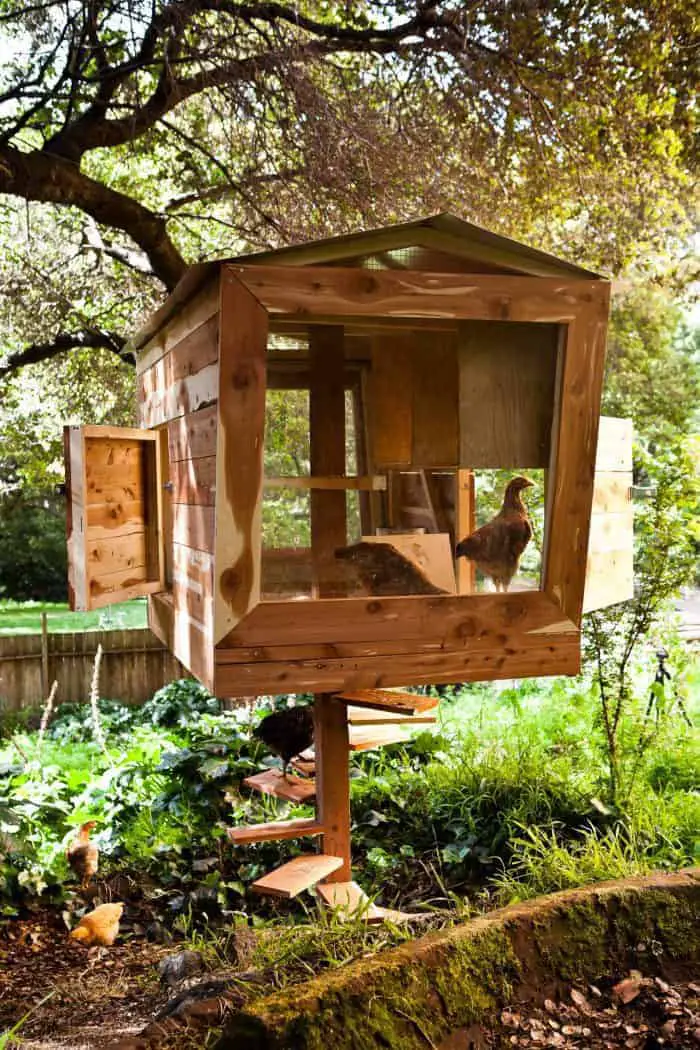 Fun chicken coops