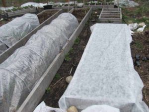 Using flowing row cover in the garden