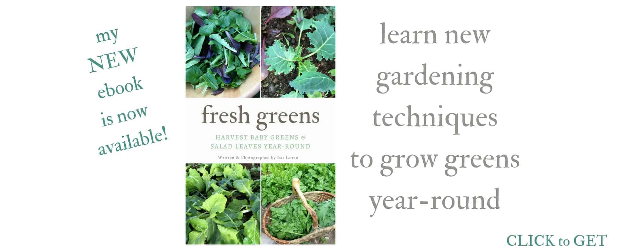 Fresh Greens eBook (Harvest baby greens & salad leaves year-round)