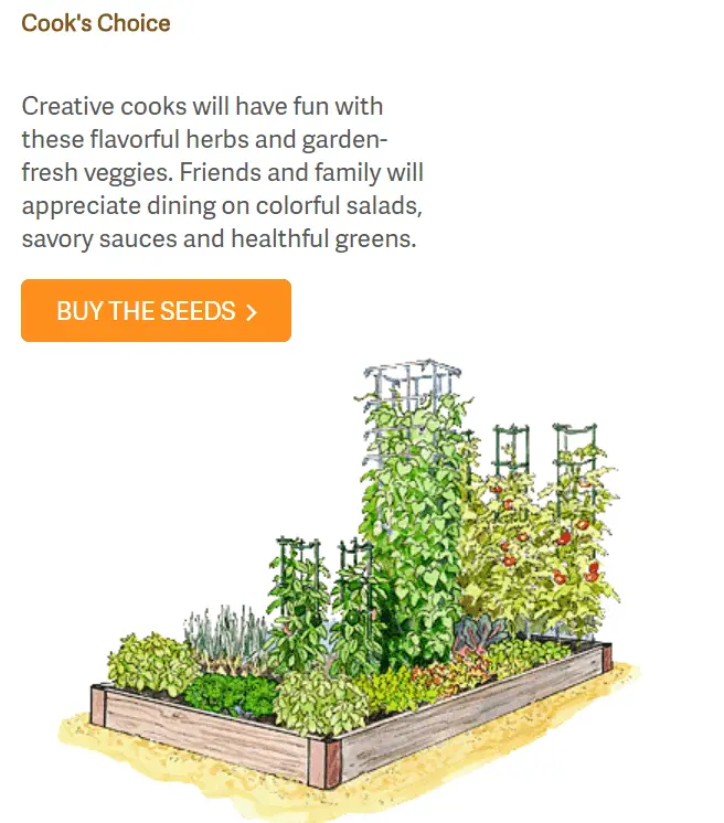 Using a garden design app can help your garden planning