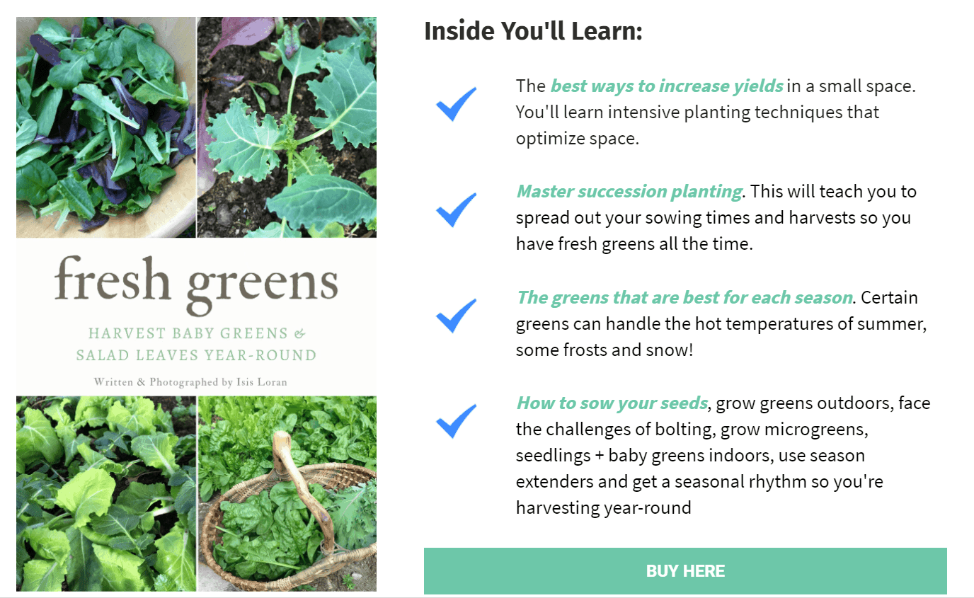 Fresh Greens book- Grow Greens & Salad Leaves Year-Round