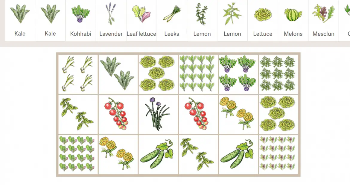garden planning