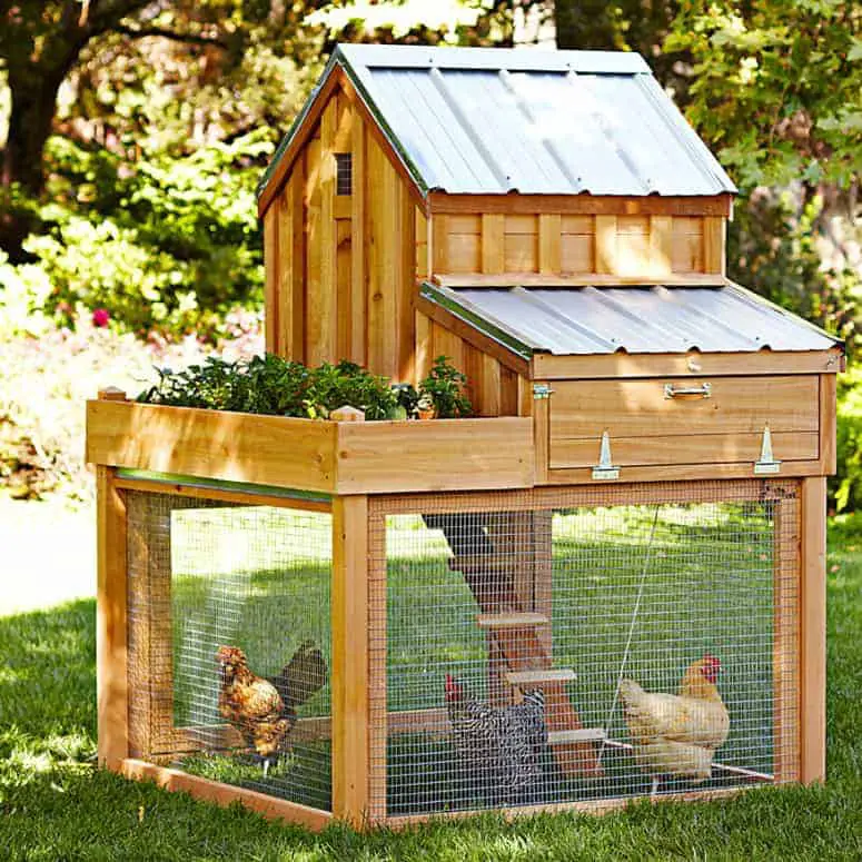 Gorgeous cedar chicken coop with planter