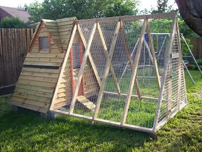 Simple A frame chicken coop plans