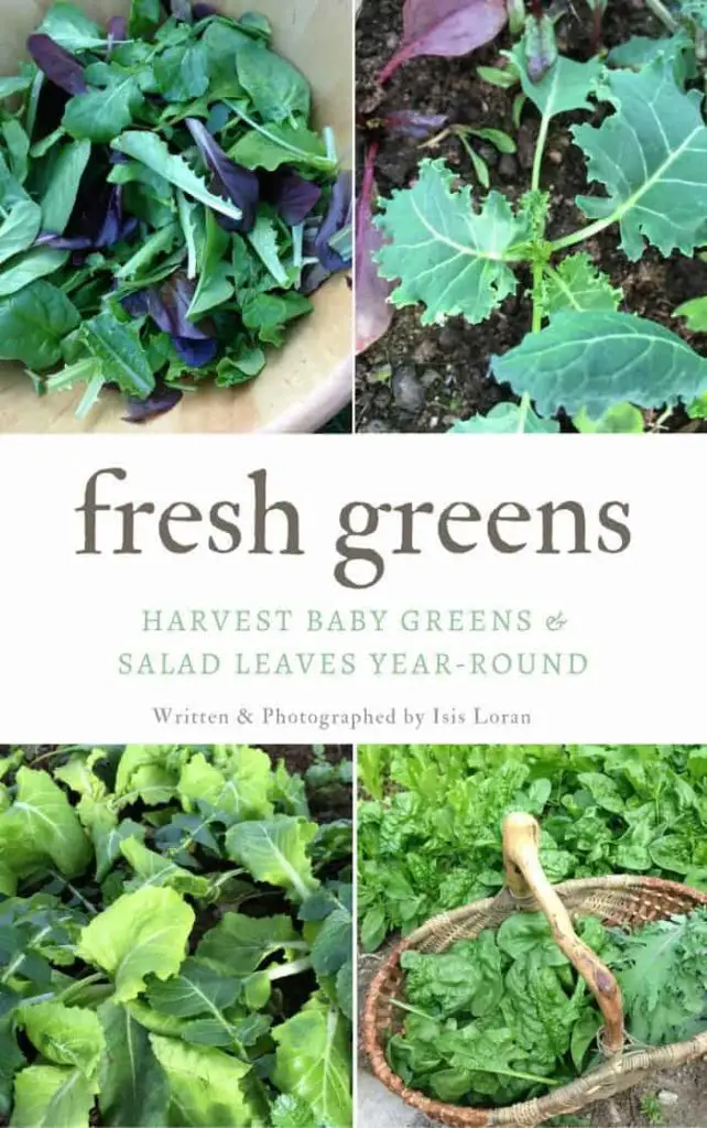 Fresh Greens- Learn how to grow salad leaves and baby greens year-round!