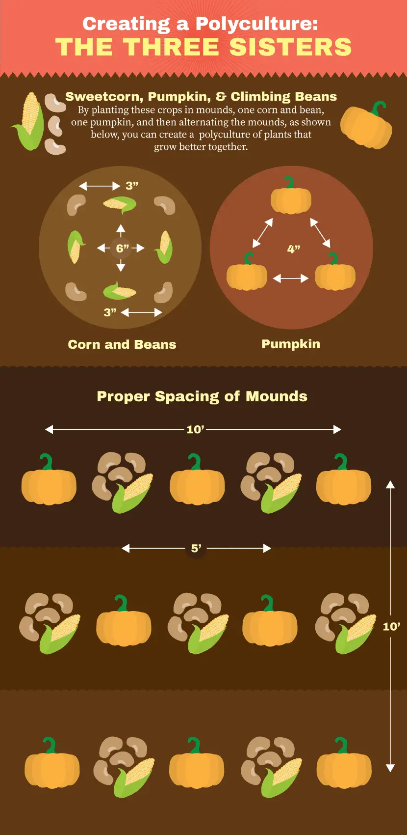 A Guide In Creating A Polyculture and Proper Spacing of Mounds