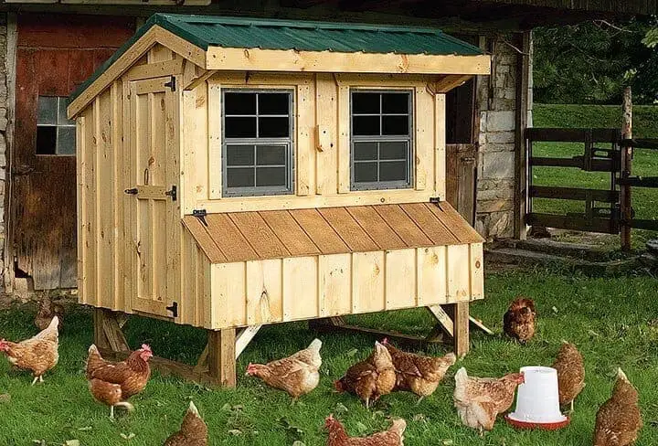 Quaker Chicken Coop