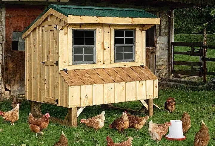 Fantastic Chicken Coops 2020: Designs, Free Plans &amp; Ideas 