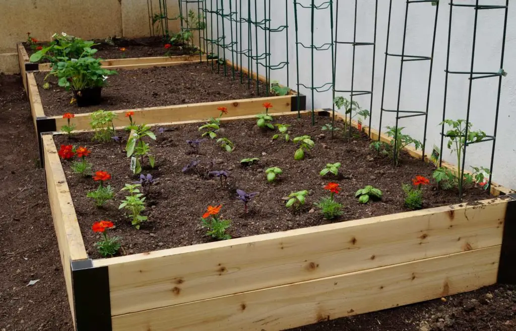 Spring, summer and fall/winter raised garden beds with detailed crop lists