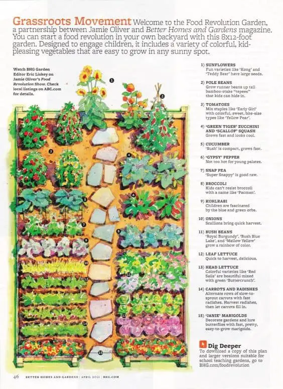 Garden plans