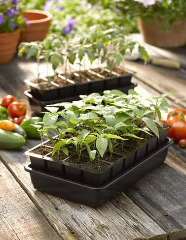 The Growease Seed Starting Tray