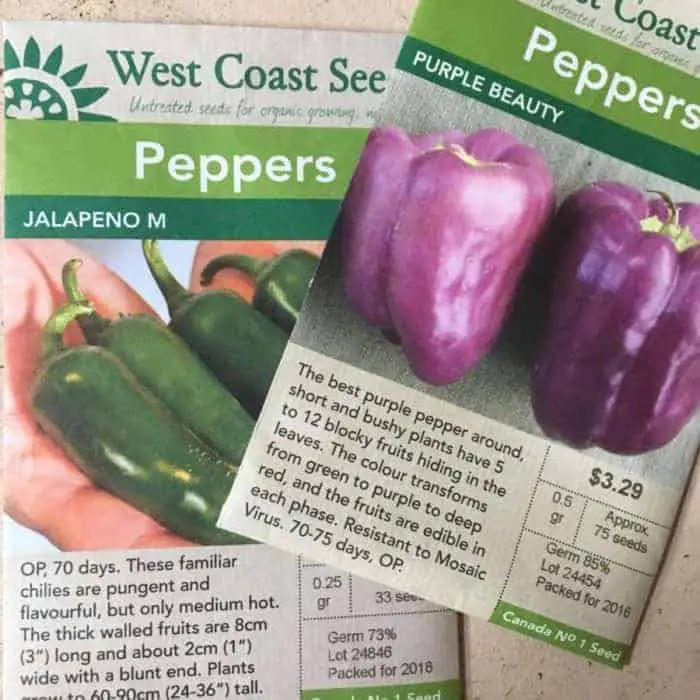 Growing peppers from seed