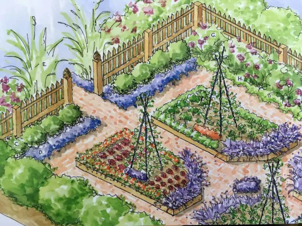 kitchen garden design layout