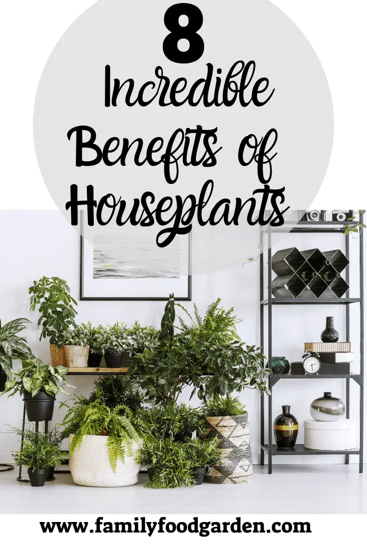 benefits of house plants