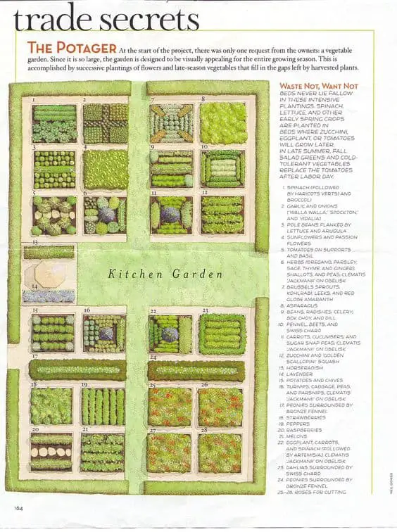 Potager garden design