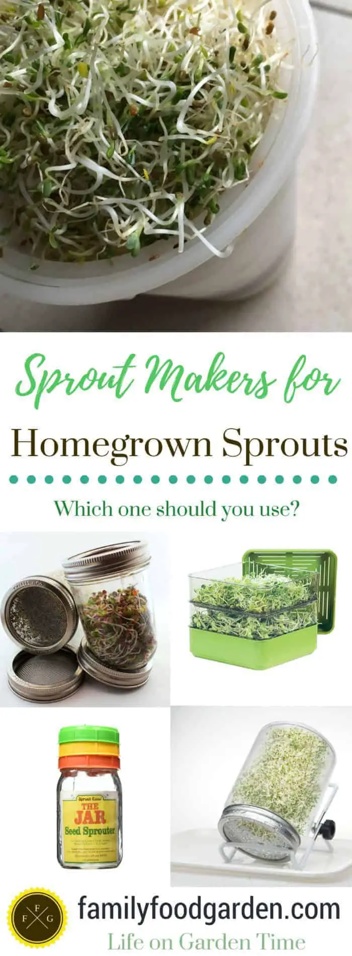 What is the best sprout maker? Here are some easy ones to use for growing sprouts