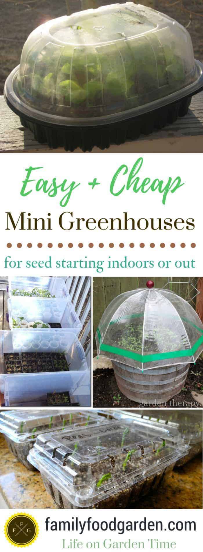 Ideas for cheap mini greenhouse for DIY garden ideas and seed starting