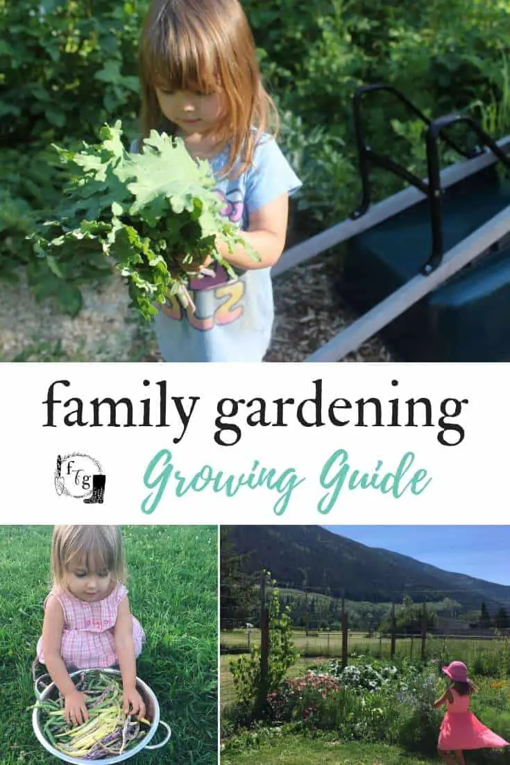 Growing tips for a family garden 