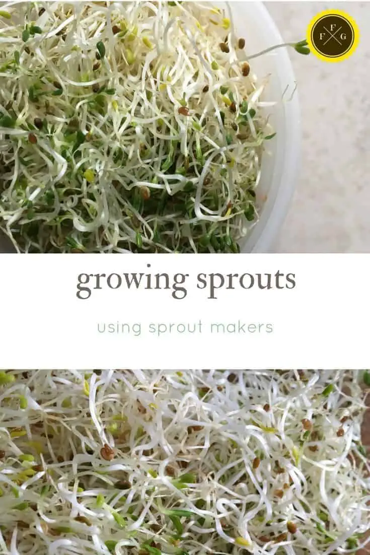 growing sprouts with sprout makers