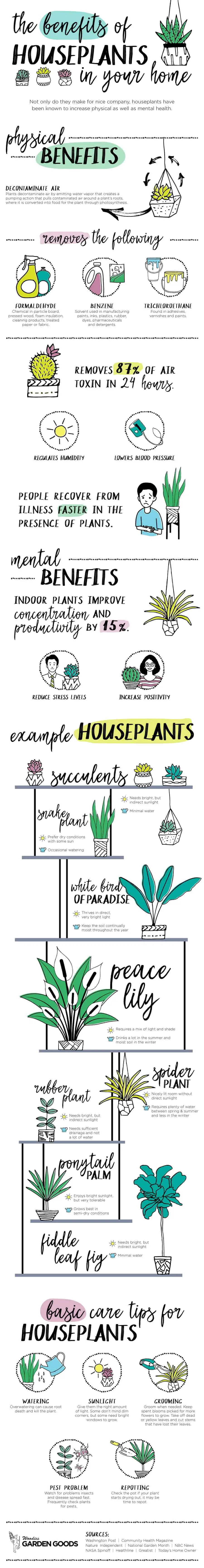 The Benefits Of Houseplants In Your Home