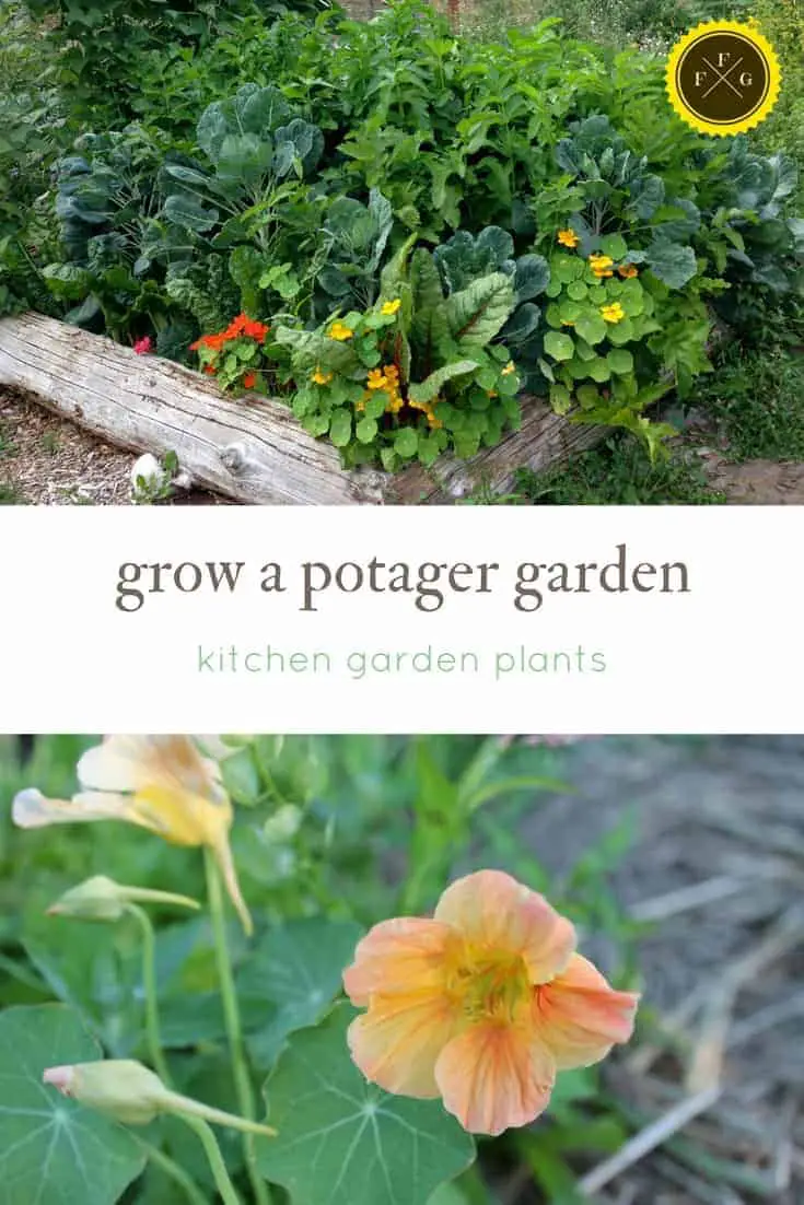 Grow a potager garden: kitchen garden plants