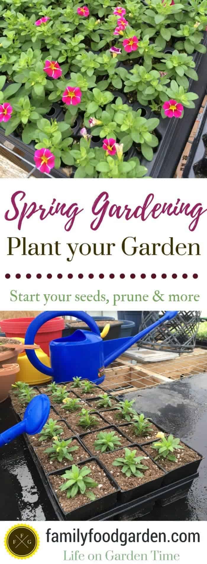 Spring Gardening: Plant your Garden (Start your seeds, prune & more)