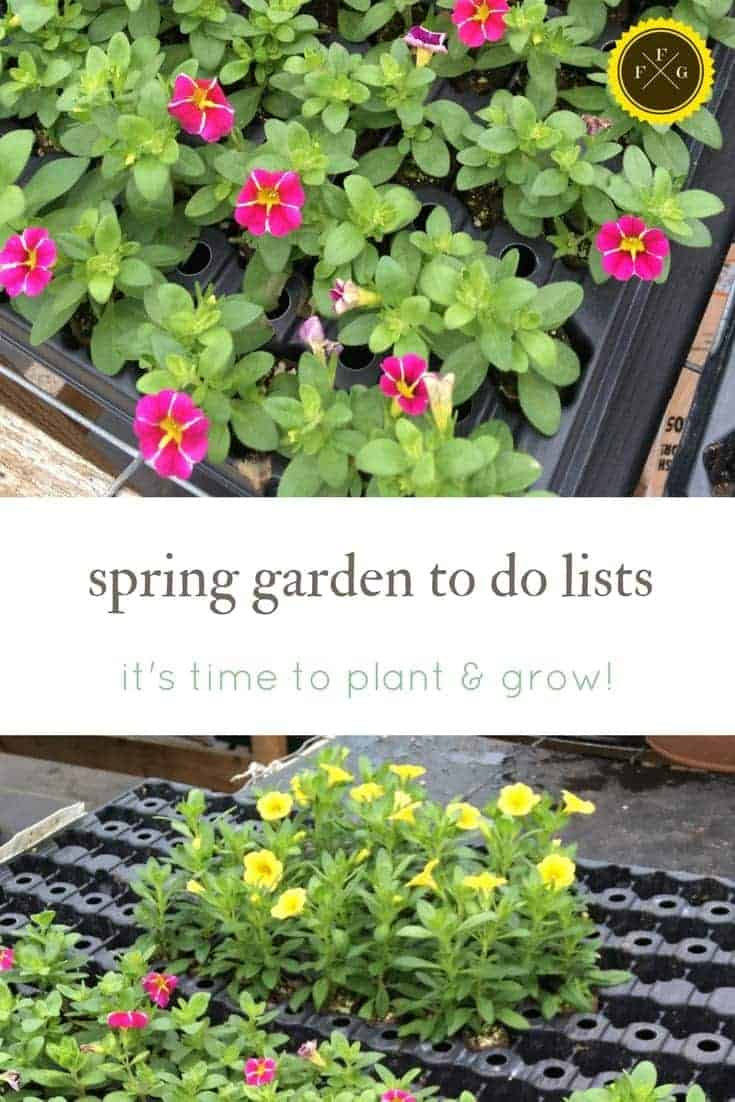 Spring garden to do lists: It's time to plant & grow!