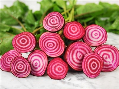 Chioggia beets