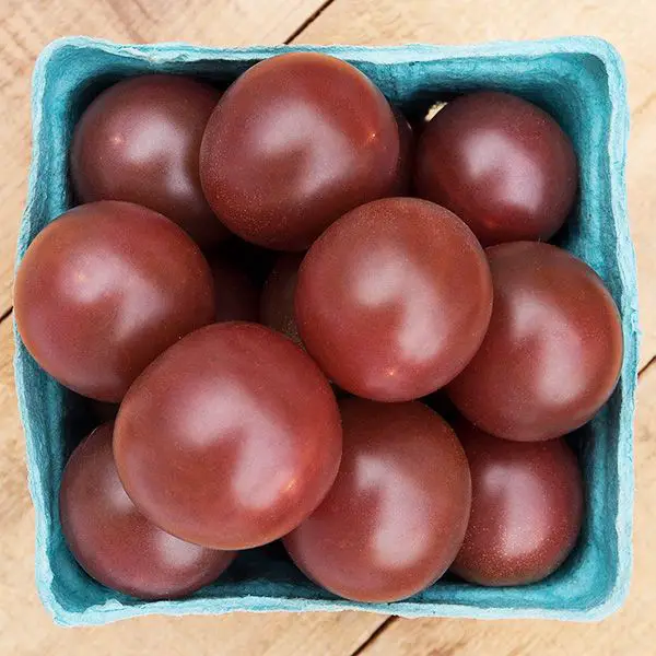 Black cherry tomatoes