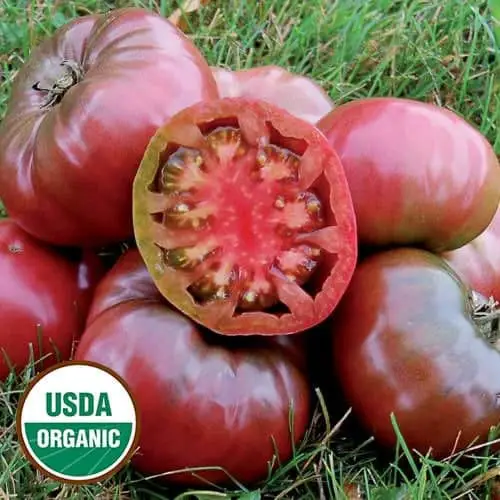 Organic Cherokee Purple Tomatoes