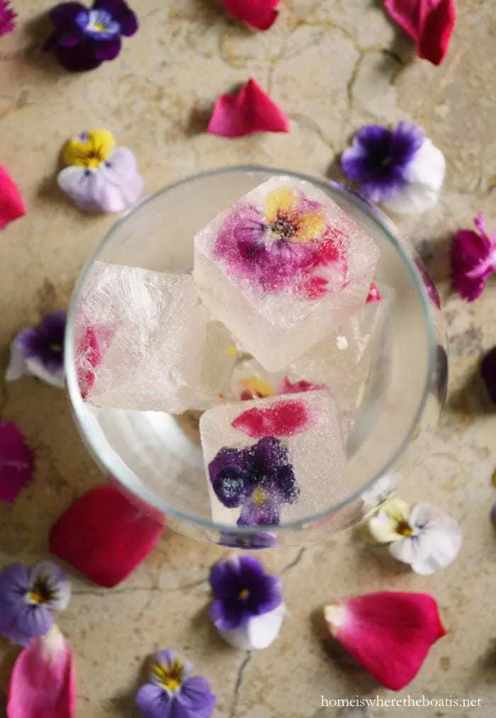 Edible Flowers In Ice Cubes