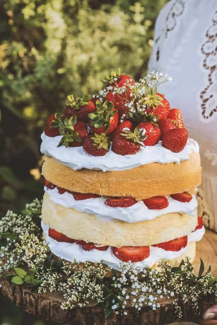 Gorgeous Elderflower Chiffon Cake