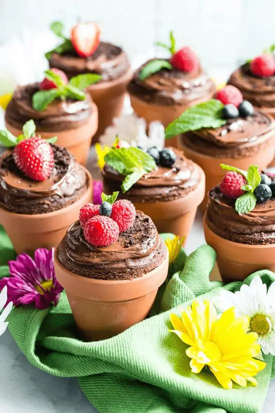 Flower Pot Cupcakes
