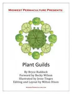 Midwest Permaculture Presents: Plant Guilds
